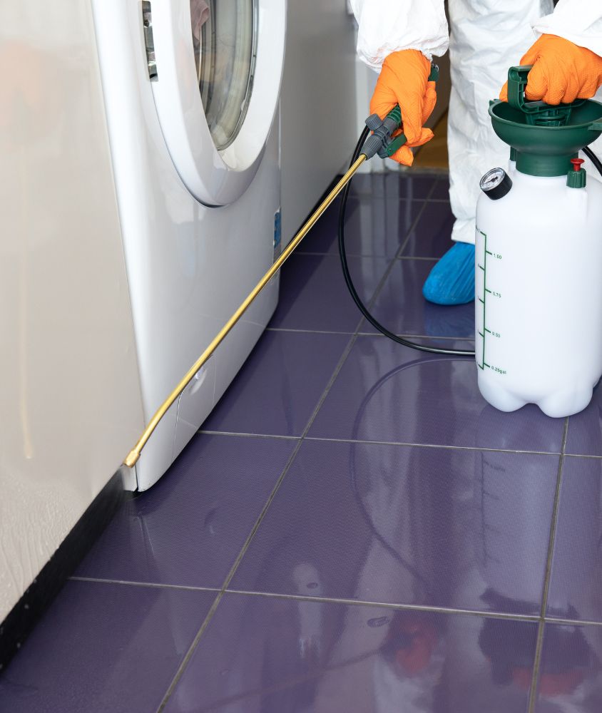 Dedetização em Ribeirão Preto