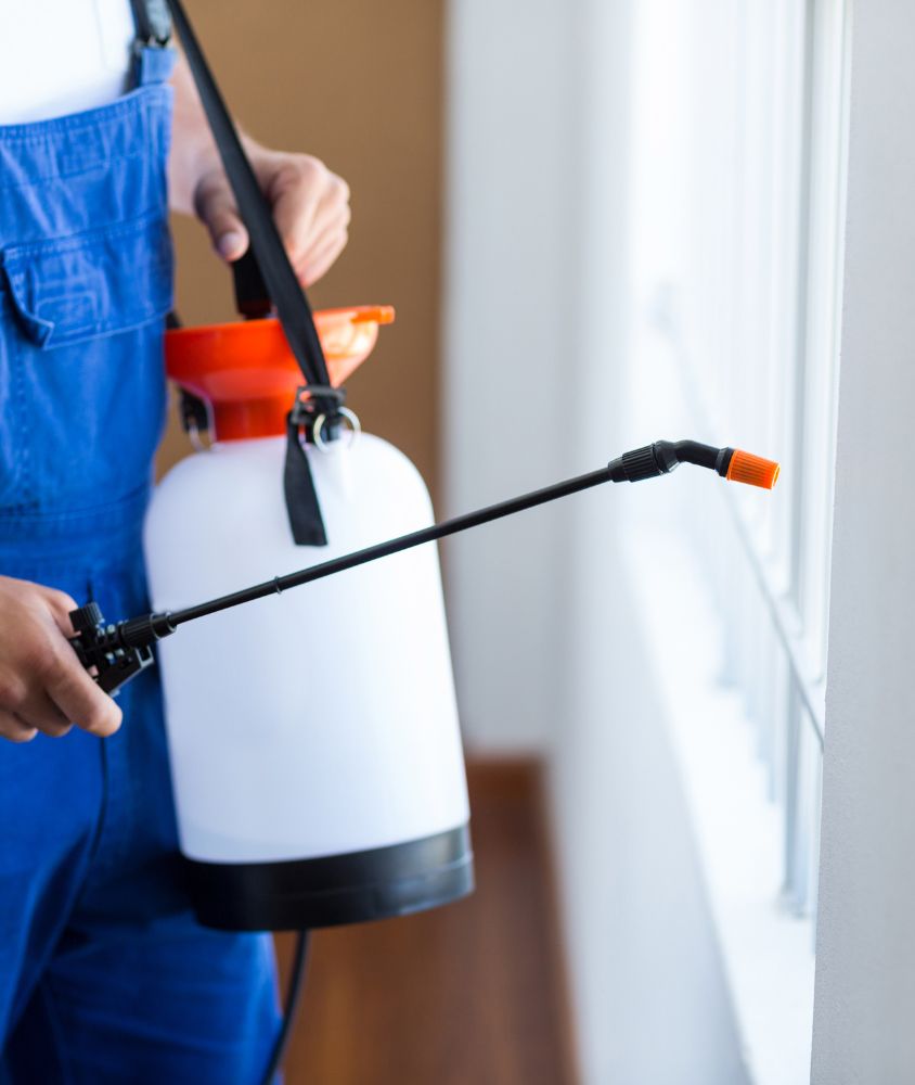 dedetizador em Ribeirão Preto