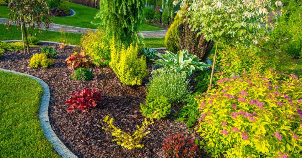 Como Manter o Jardim Bonito no Verão em Ribeirão Preto: 4 Cuidados Essenciais capa jardinagem em Ribeirão Preto