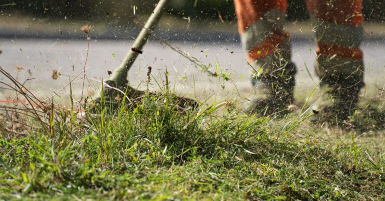 corte de grama em Ribeirão Preto